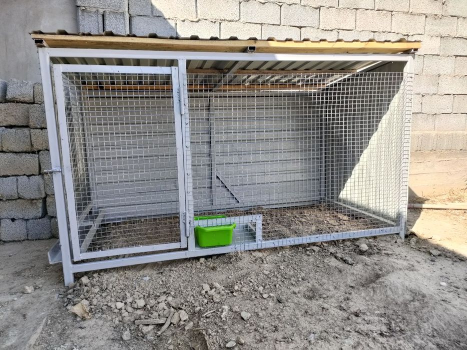 Мультфильмдер және секс комикстері