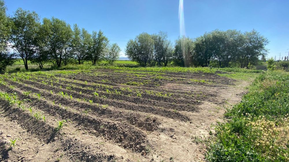 Саманый дом и атомашина