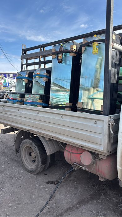 Газель пирамида.