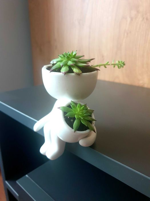 Кашпа със скандинавски мъх