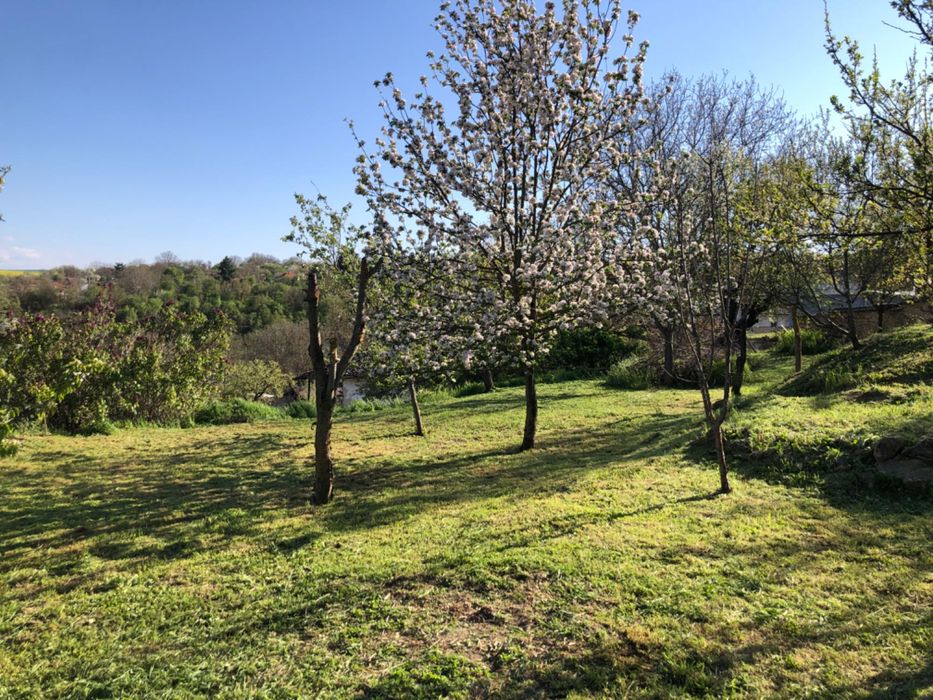Продава се Къща в Разград, Орел - 60 кв.м за 425 €/кв.м - Снимка #8