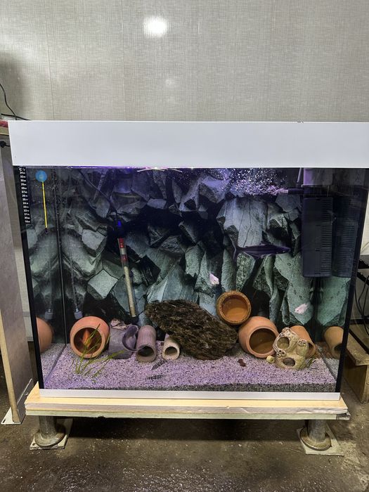 Akvarium Sotiladi 180 litr Ideal