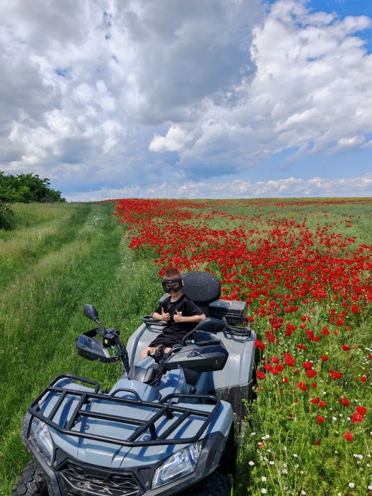 ATV Goes 500L servo direcție