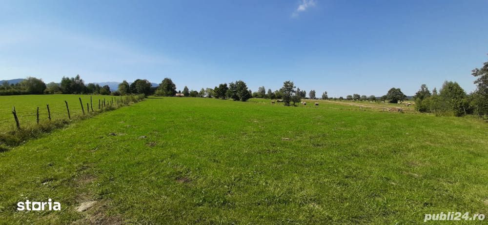 Teren 9350 mp Bran Livada, Extravilan