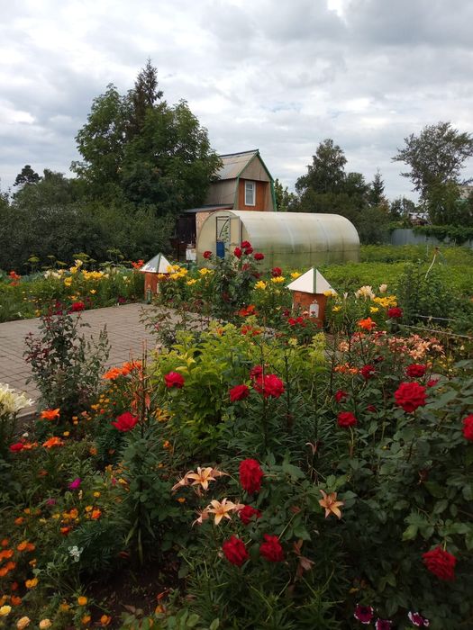 Продам дом в дачном обществе Садовод