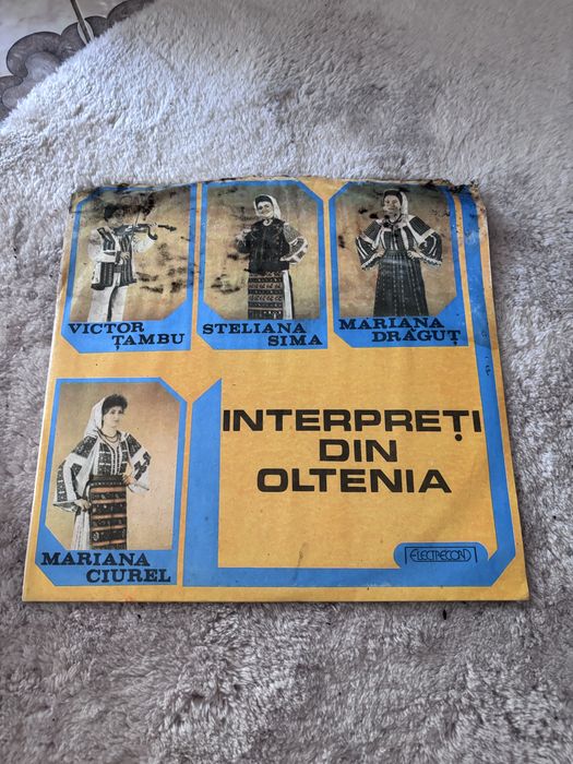Discuri vinilin
