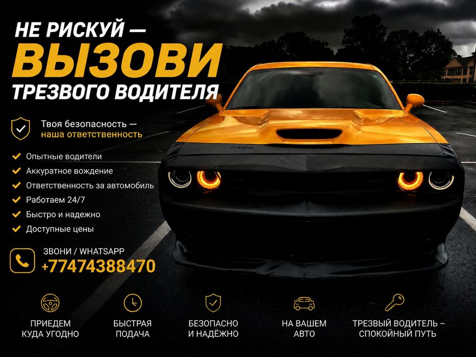 Трезвый водитель