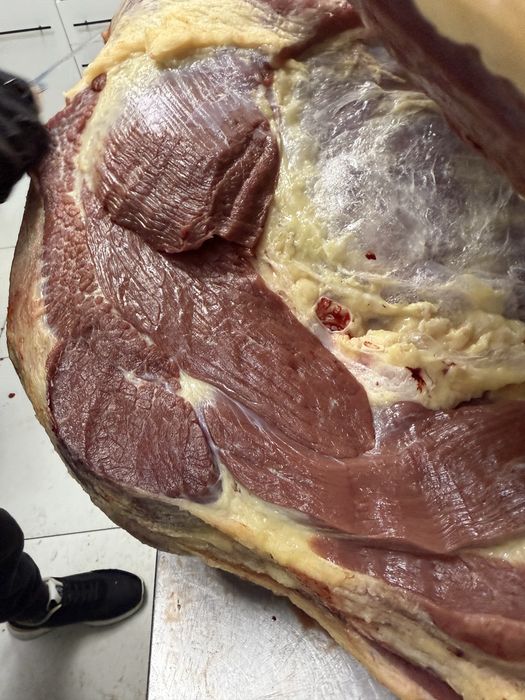 В продаже мясо конины молодняк