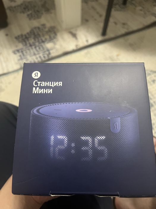 Алиса умни калонка