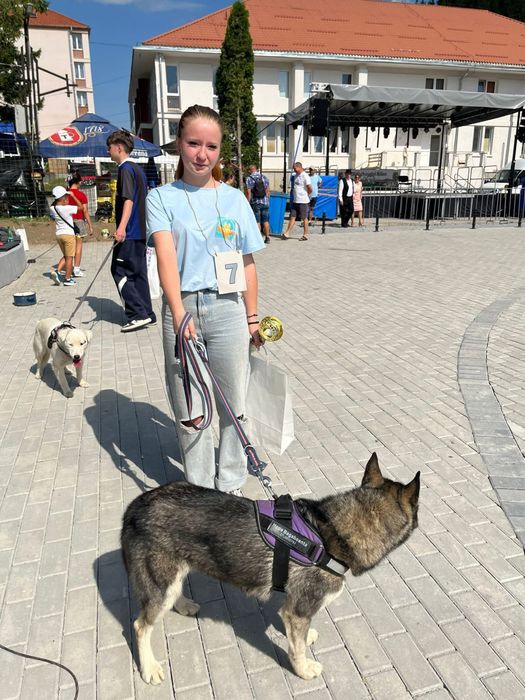 ofer servici de pet sitting