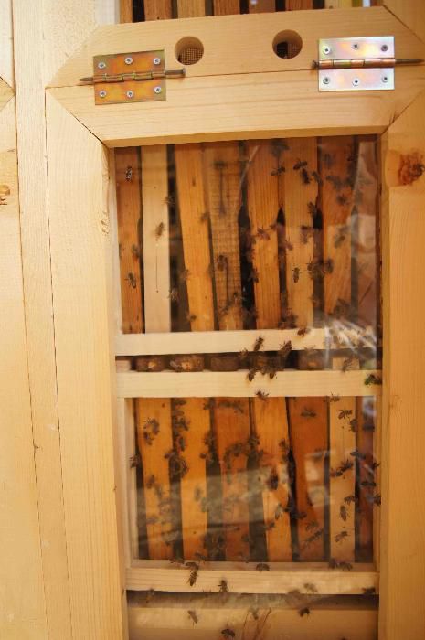 продавам подвижно пчеларско ремарке- нова по-ниска цена!