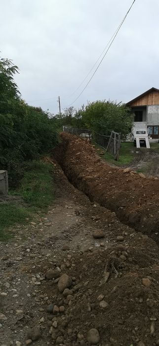 Prestari servicii cu miniexcavator și camioneta basculabila