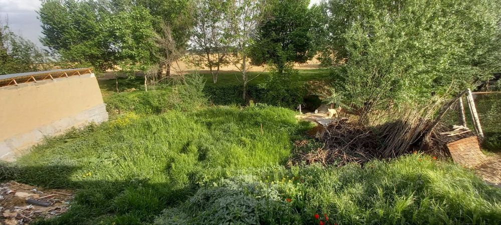 Uy sotiladi 7 sotik qoshimcha 2 sotik yeriyam bor