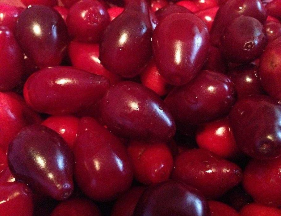 Продаём Кизил свой садовый