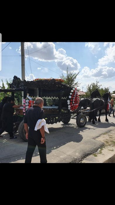 Plimbari cu caleasca, trasura pentru nunti si evenimente