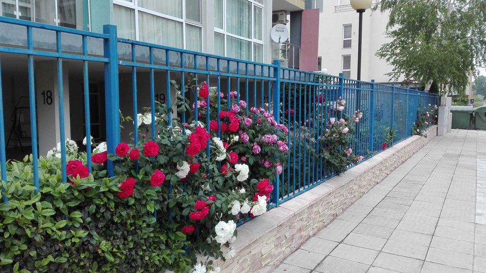 От собственика, голям с една спалня, Какао Бийч