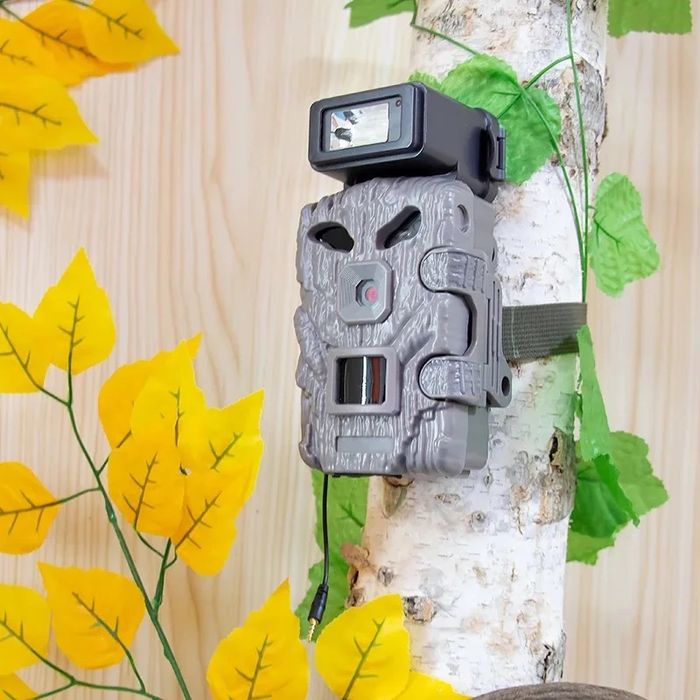 Camera cu cenzor de miscare