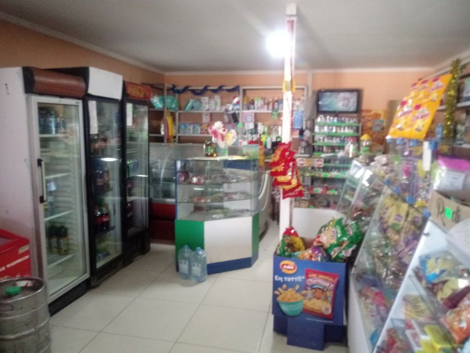 Дом в пригороде с магазином и кафе