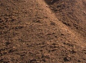 Vând gunoi de grajd oaie / oi