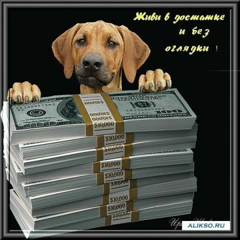 Сувенирные долары