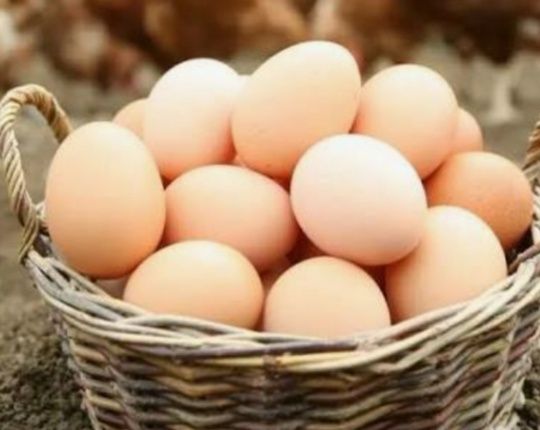 Продам домашние инкубационные яйца