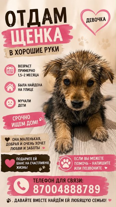 Отдам щенка девочку
