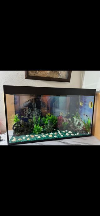 Аквариум большой