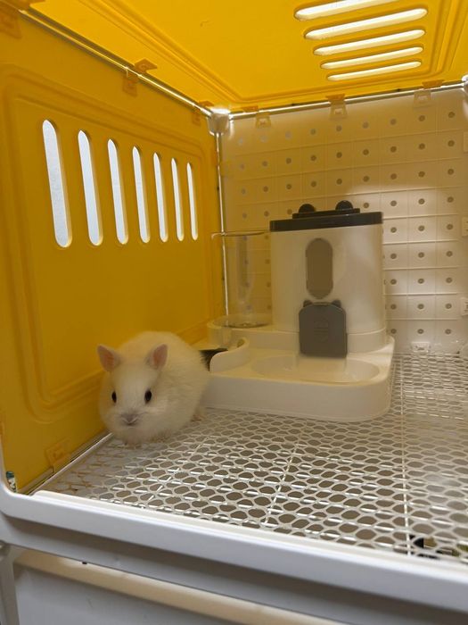 Farzandingizga telefon emas… yurak bilan bog‘lanadigan tirik do‘st ber