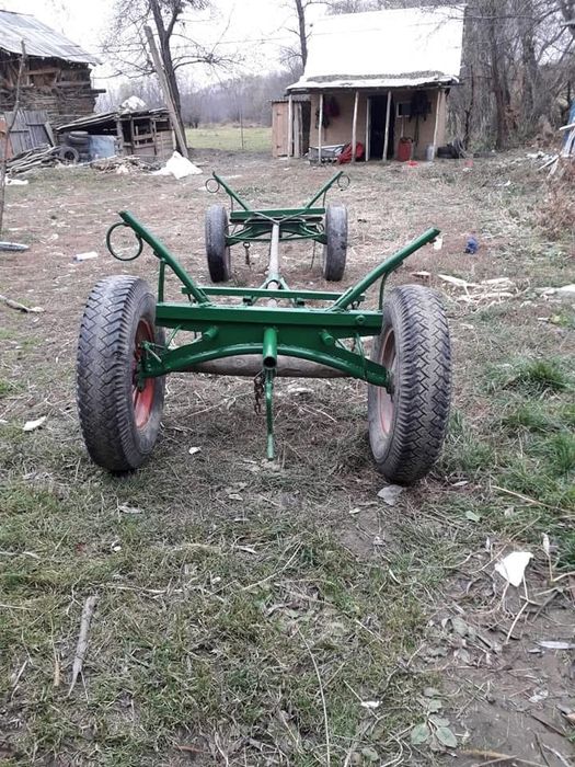 Vand mănză de 2 ani