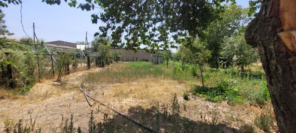 Участка 7 сотка чархин