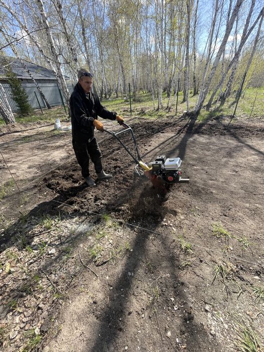 Газон посевной под ключ