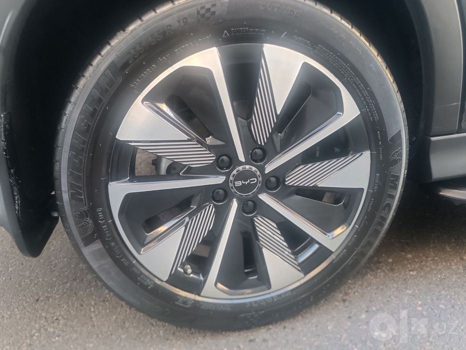 Byd champion ev 550 km
