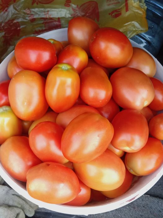 Продам домашние помидоры.