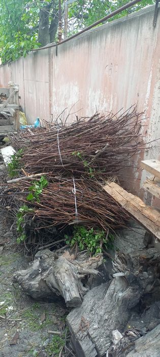 Утин сотилади Продаются дрова