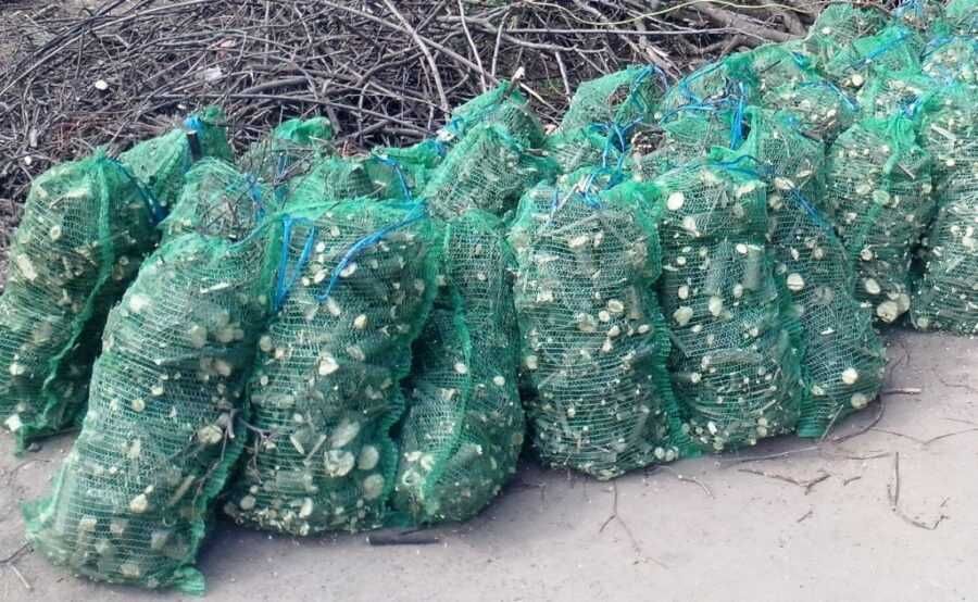 Tocator de crengi AM-80 BD ARPAL, ∅ max. 80 mm  producție: 4 m³/oră