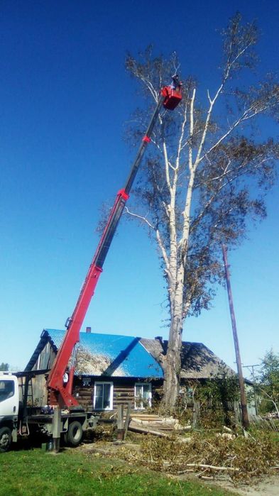 Спил, кронирование, опилка, выкорчевывание.