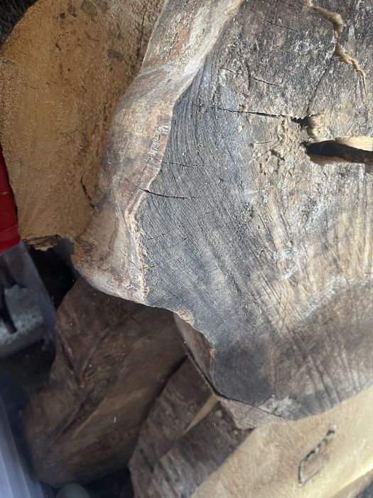 Felii lemn masiv nuc si plop