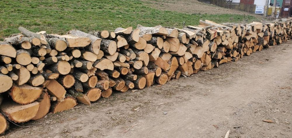 Lemne de foc esenta tare