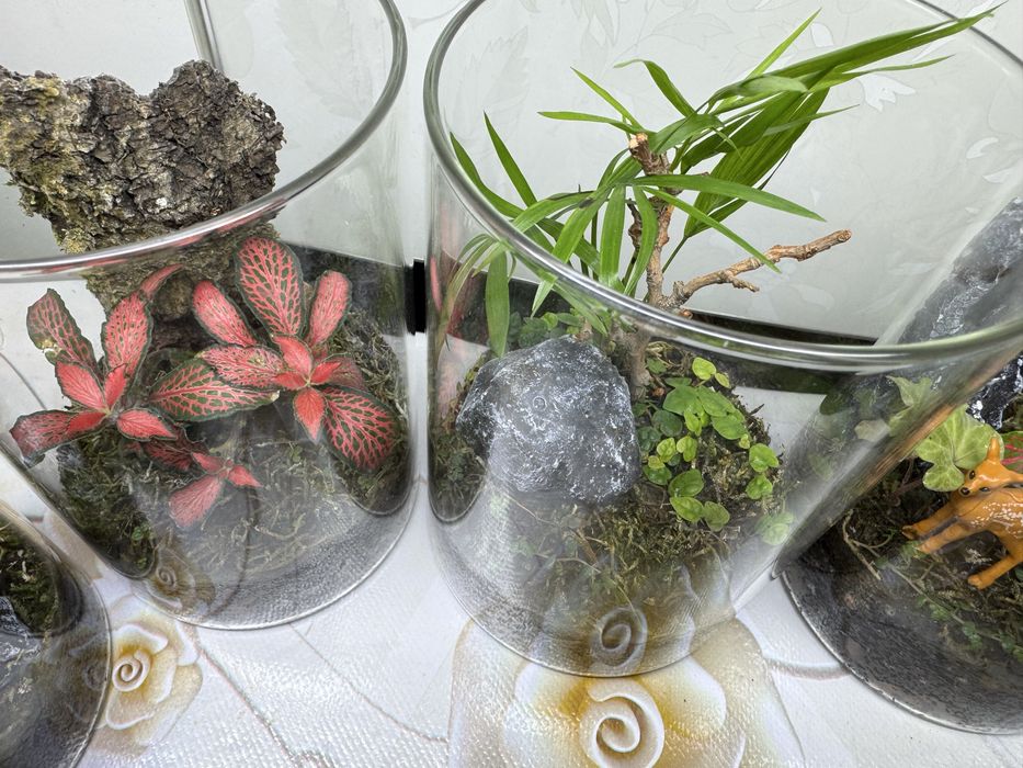Продам флорариумы!