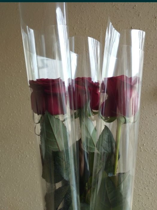 Donali atir gul zakasga qiberiladi