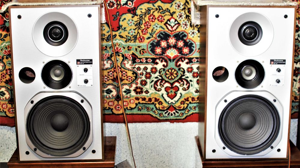 Акустические системы Technics SB-X5