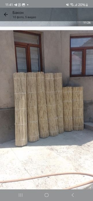 Камыс қамыс ши бар