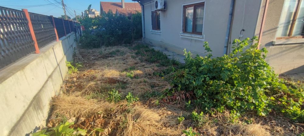 Рязане, кастрене и почистване на терени!