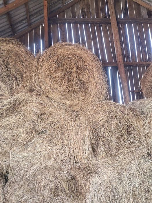 Vand baloti de lucerna