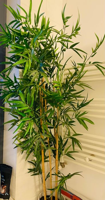 Planta artificiala Bambus Mobexpert