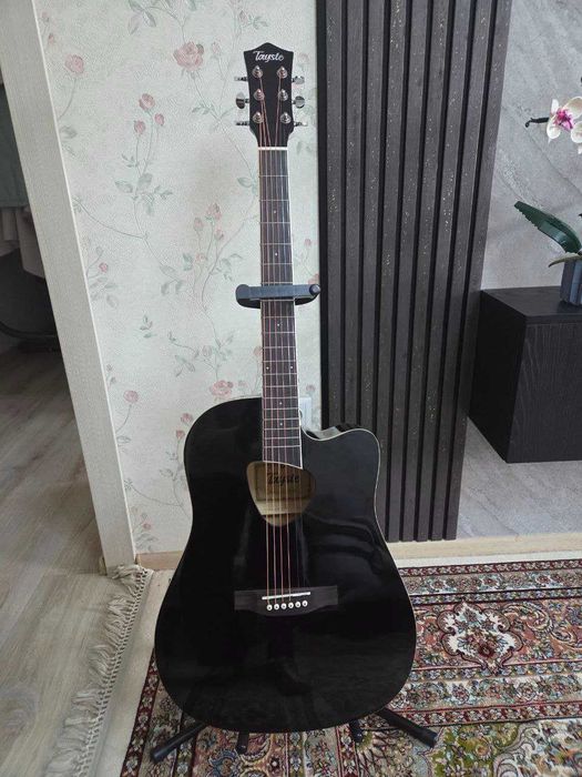 Аккустическая гитара Tayste
