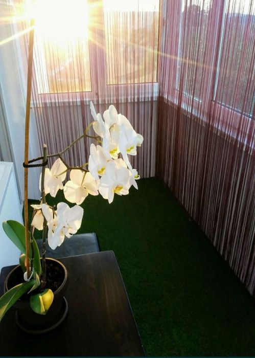Vând apartament zona centrală sau schimb cu casa