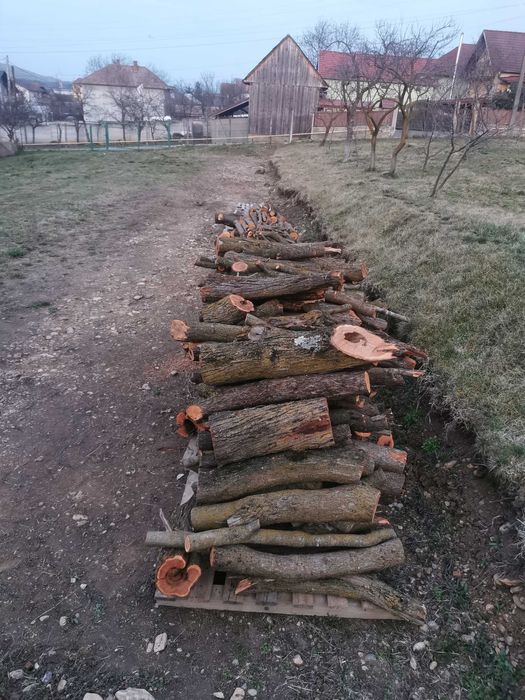 Lemne prun și mar  pentru afumat. sau pentru foc. 200ron/ms