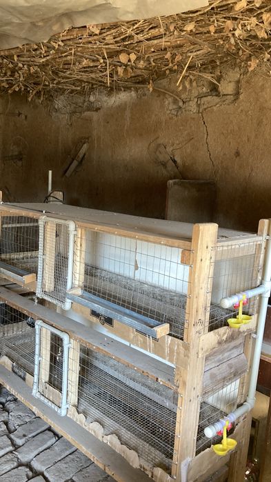 Бодене Клеткасы.     .