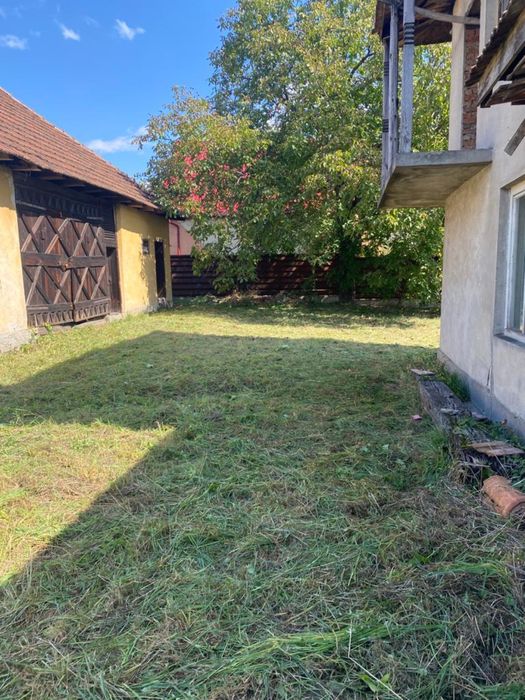 Servicii de defrișat, curățat, cosit, tuns și nu numai